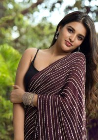 nidhhi agerwal_teluguvox 3